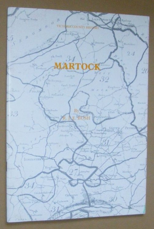 Martock (Victoria County History)