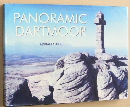 Panoramic Dartmoor
