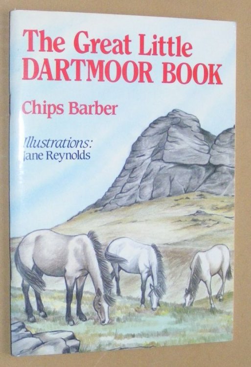 The Great Little Dartmoor Book
