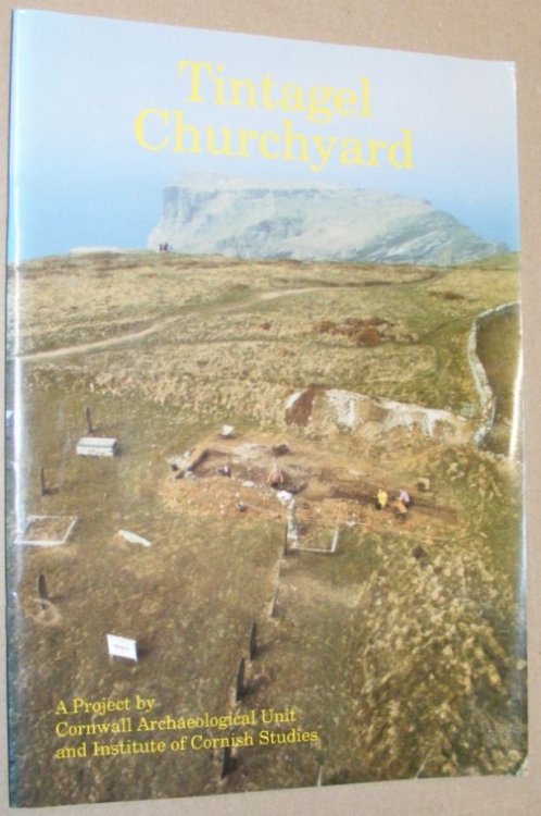 Excavations at Tintagel Parish Church, Cornwall, Spring 1990. Interim Report