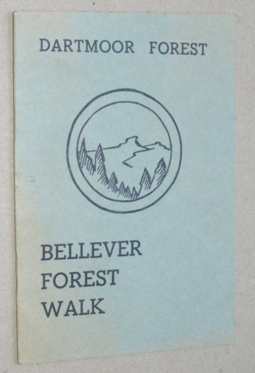 Bellever Forest Walk, Dartmoor Forest