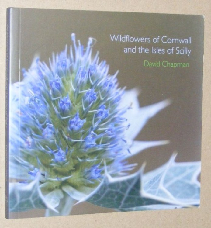 Wildflowers of Cornwall and the Isles of Scilly