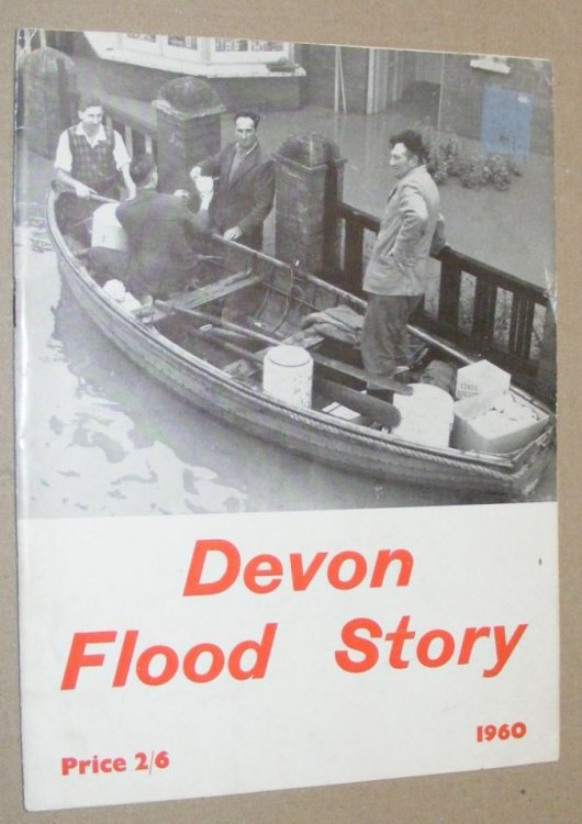 Devon Flood Story
