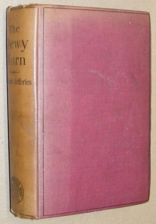 The Dewy Morn: a novel