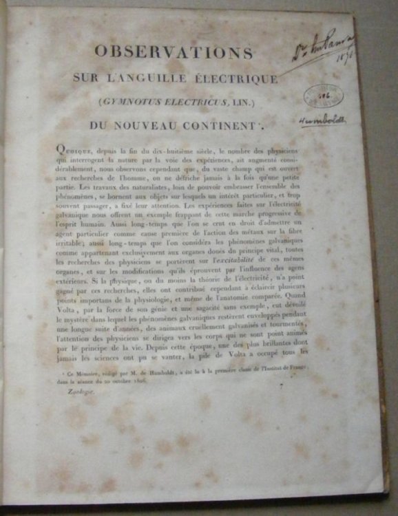 Observations sur l'Anguille lectrique (Gymnotus Electricus, Lin.) du Nouveau Continent