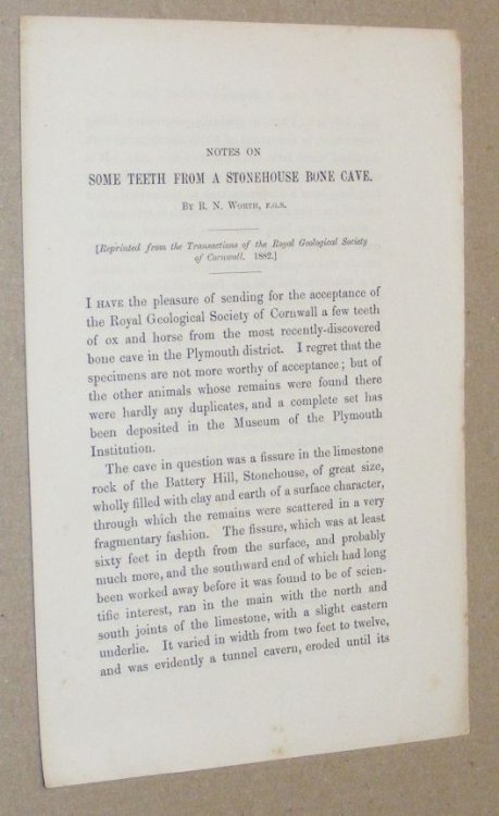 Notes on Some Teeth from a Stonehouse bone cave