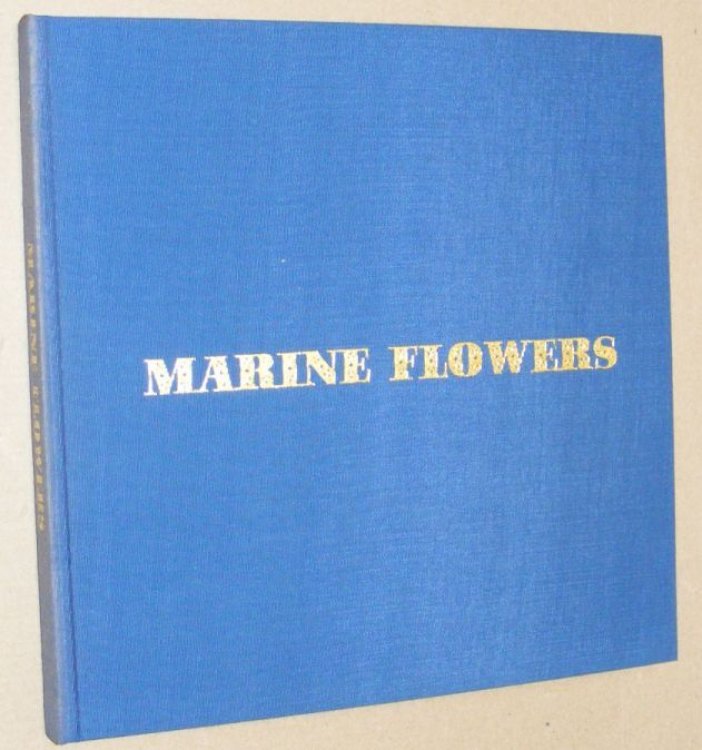 Marine Flowers: current state of coelenterate research