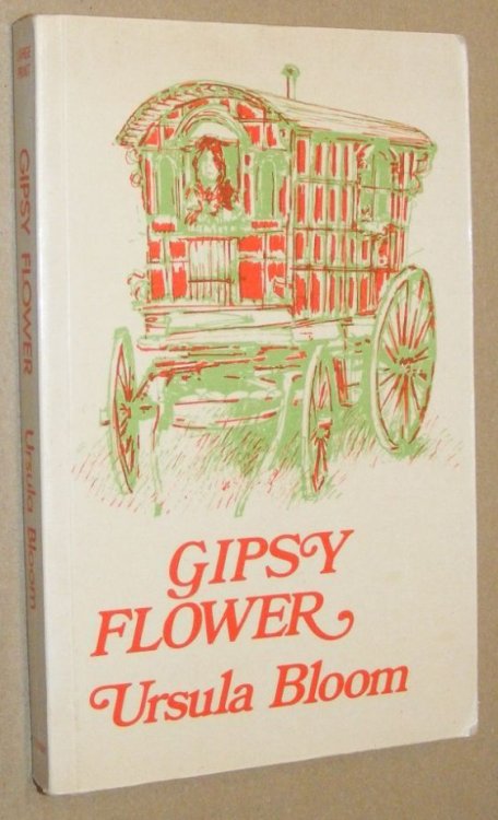 Gipsy Flower [Large Print edition]
