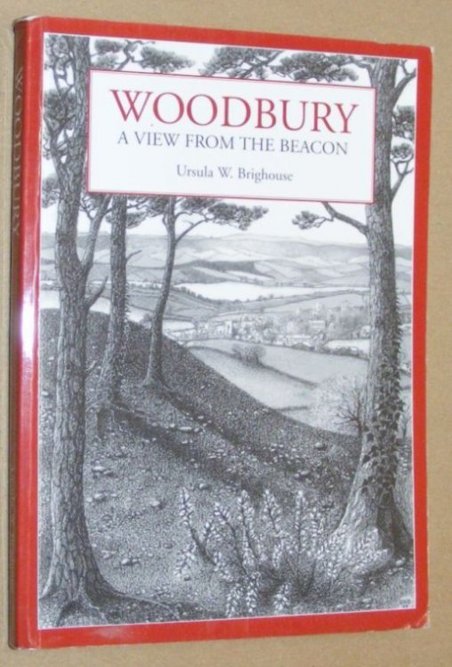 Woodbury : a view from the Beacon