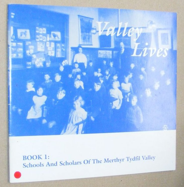 Valley Lives Book 1 : Schools and Scholars of the Merthyr Tydfil Valley