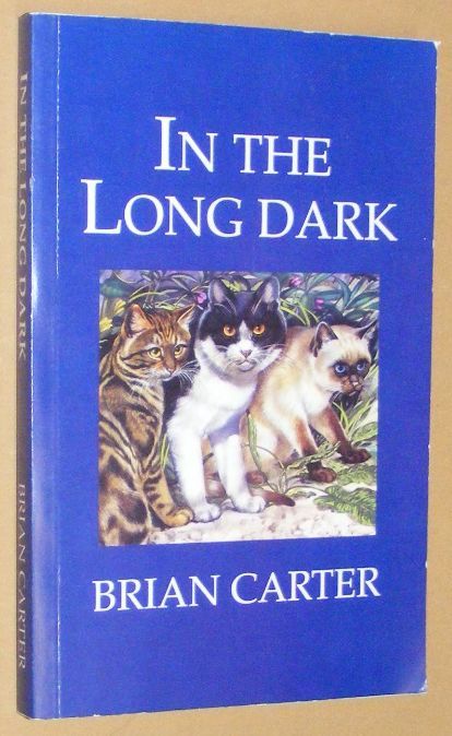 In the Long Dark
