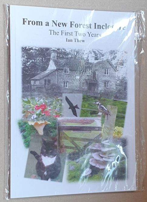 From a New Forest Inclosure : the First Two Years