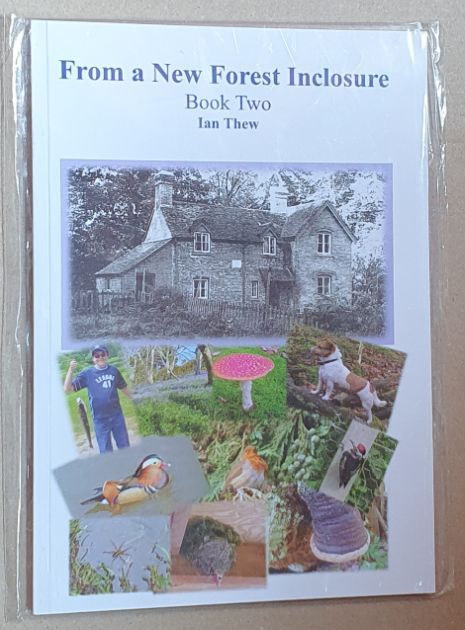 From a New Forest Inclosure : Book Two