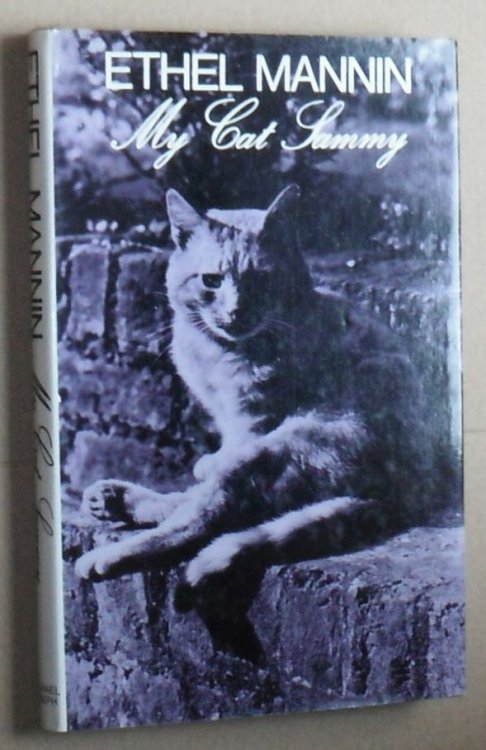 My Cat Sammy