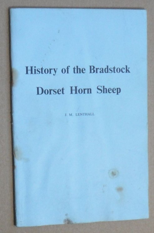 History of the Bradstock Dorset Horn Sheep