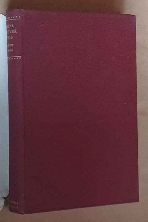 Where the Turk Trod : a journey to Sarajevo with a Slavonic Musselman