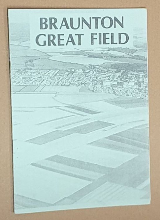Braunton Great Field