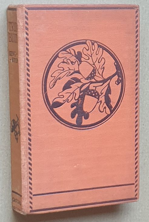 True Blue (Herbert Strang's Empire Library)