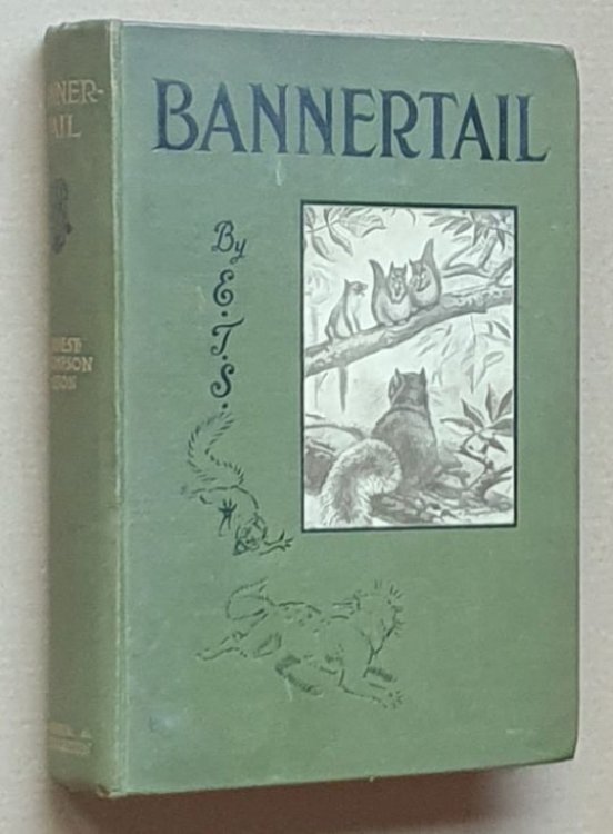 Bannertail : the story of a gray squirrel
