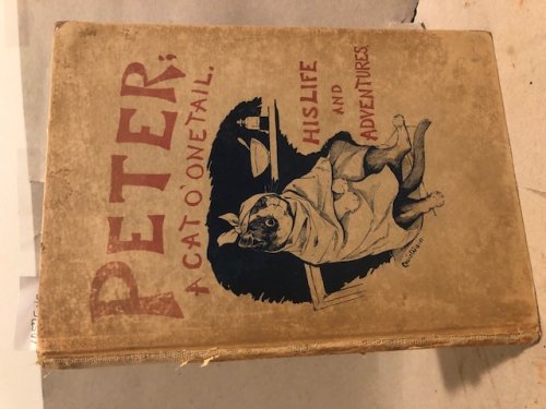 Peter: A Cat o' One Tail: His Life and Adventures [Hardcover] Morley, Charles