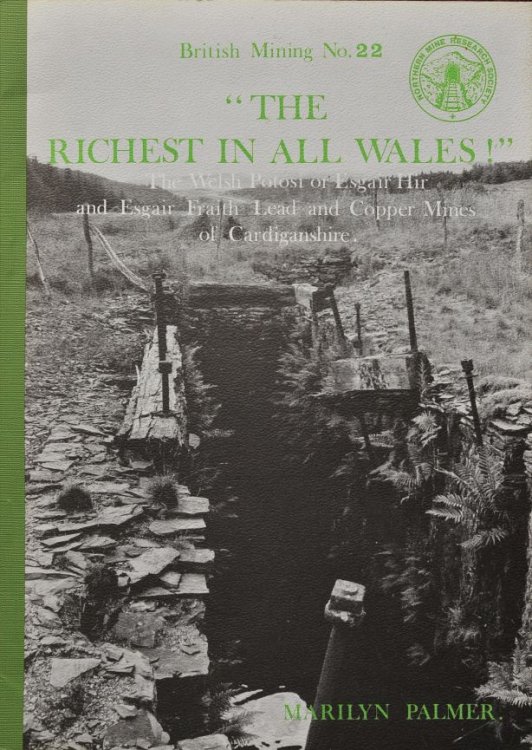 THE RICHEST IN ALL WALES (BRITISH MINING No.22)