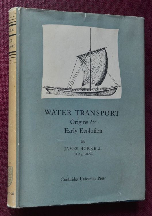 Water Transport : Origins & Early Evolution