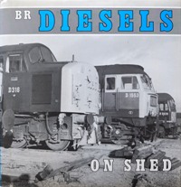 BR Diesels on Shed