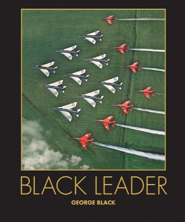 Black Leader : A Cockpit Full of Memories