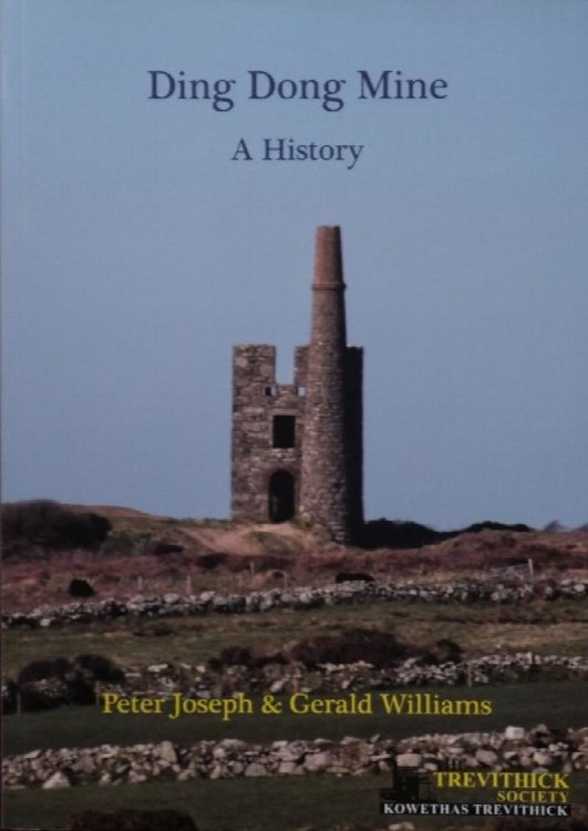 Ding Dong Mine : A History