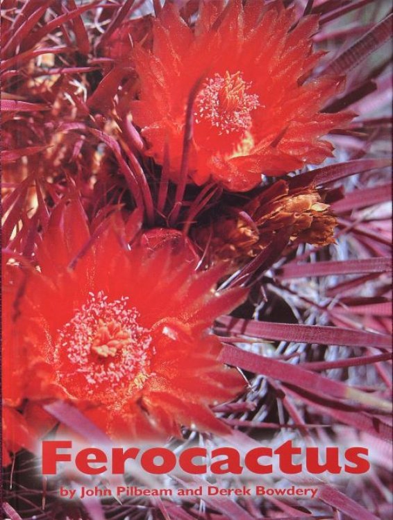 Ferocactus