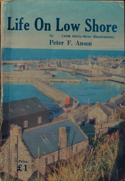 Life on the Low Shore