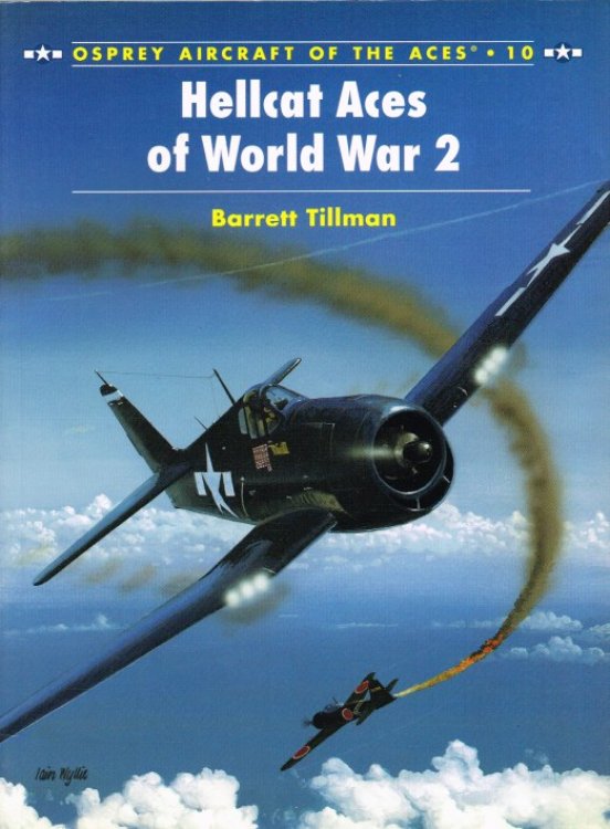 HELLCAT ACES OF WORLD WAR 2