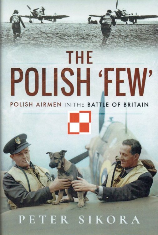 Image for THE POLISH 'FEW' : POLISH AIRMEN IN THE BATTLE OF BRITAIN THE POLISH 'FEW' : POLISH AIRMEN IN THE BATTLE OF BRITAIN