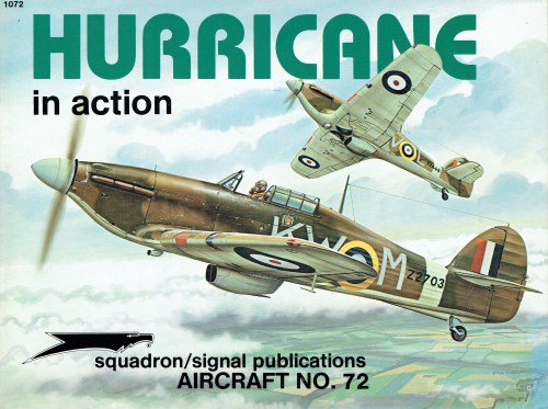 HURRICANE IN ACTION