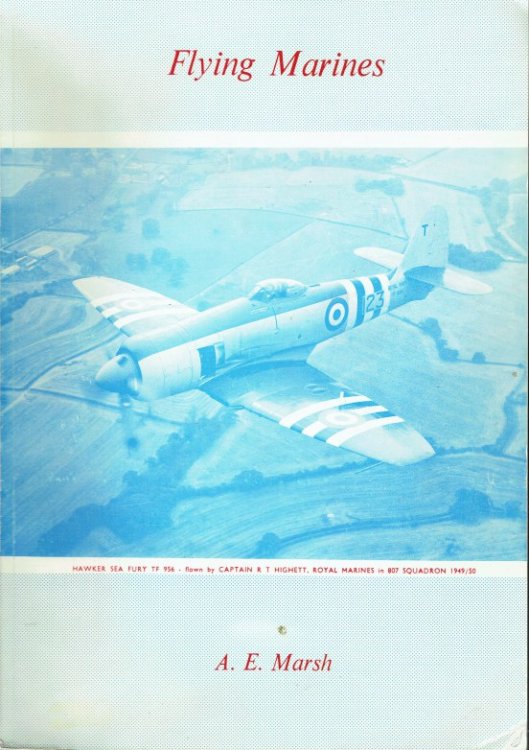 FLYING MARINES : A RECORD OF ROYAL MARINE AVIATORS WHO FLEW FIXED WING AIRCRAFT IN THE ROYAL NAVAL AIR SERVICE AND FLEET AIR ARM