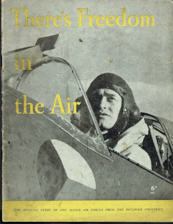 THERE'S FREEDOM IN THE AIR : THE OFFICIAL STORY OF THE ALLIED AIR FORCES FROM THE OCCUPIED COUNTRIES