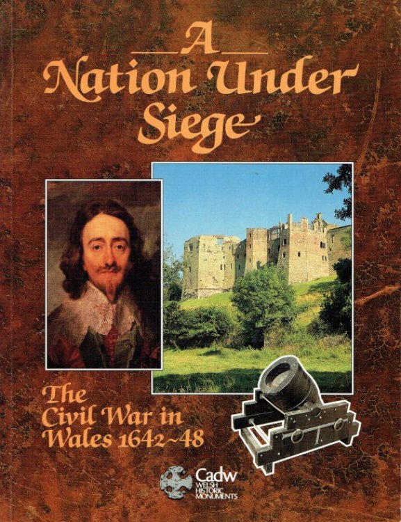 Image for A NATION UNDER SIEGE : THE CIVIL WAR IN WALES 1642-48 A NATION UNDER SIEGE : THE CIVIL WAR IN WALES 1642-48