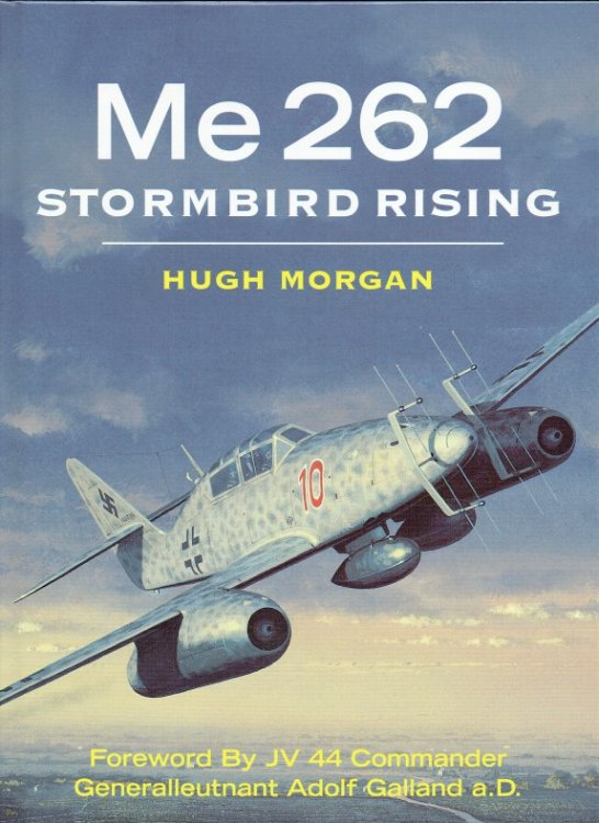 ME 262 STORMBIRD RISING