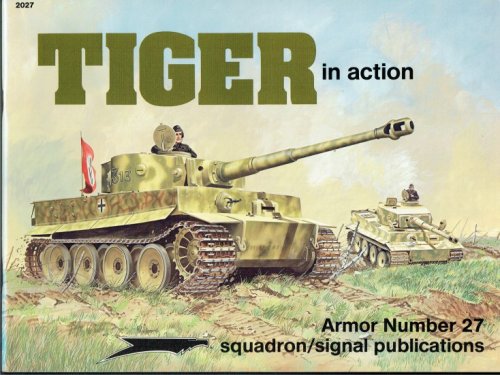 TIGER IN ACTION
