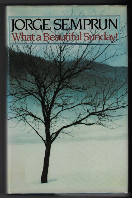 What a Beautiful Sunday!