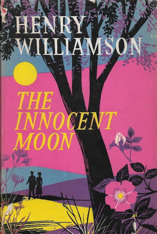 The Innocent Moon