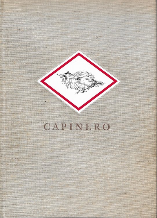 Capinero. A Bird.