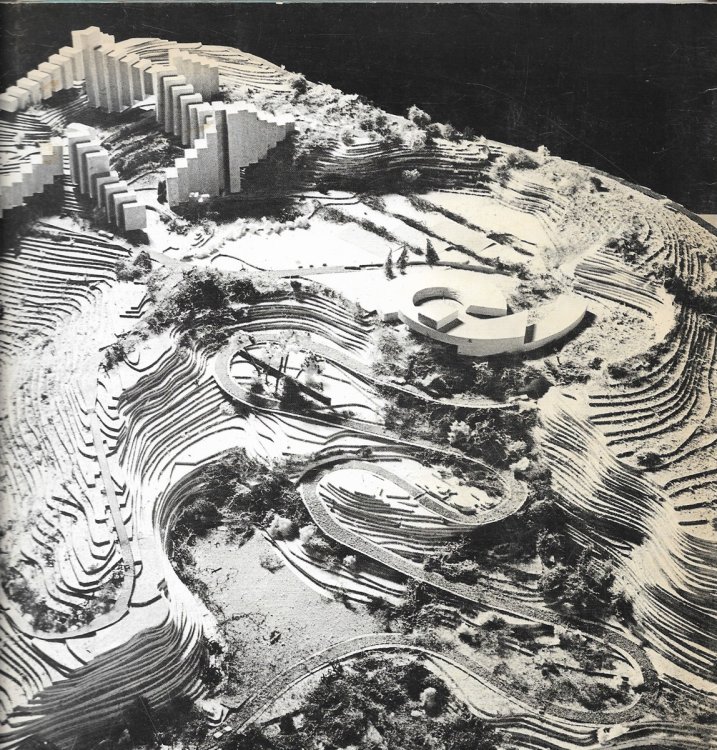 The Rehabilitation of the Nesher Quarry