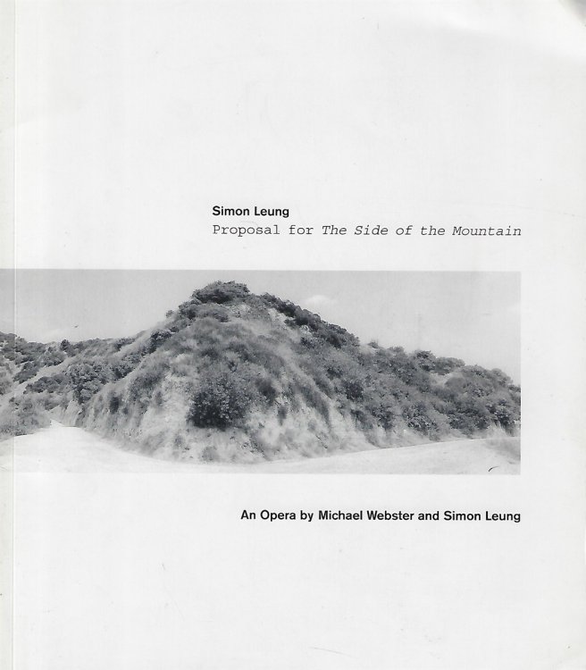 Simon Leung Proposal for the Side of the Mountain