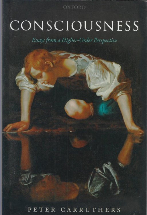 Consciousness Essays from a Higher-Order Perspective