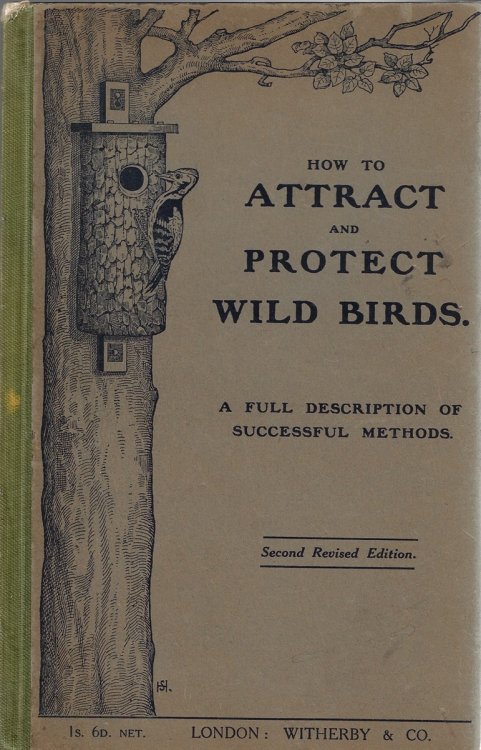 How To Attract and Protect Wild Birds: A Full Description of Successful Methods