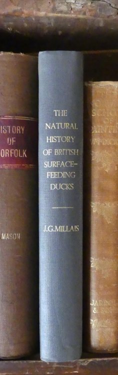 The Natural History of the British Surface-feeding Ducks
