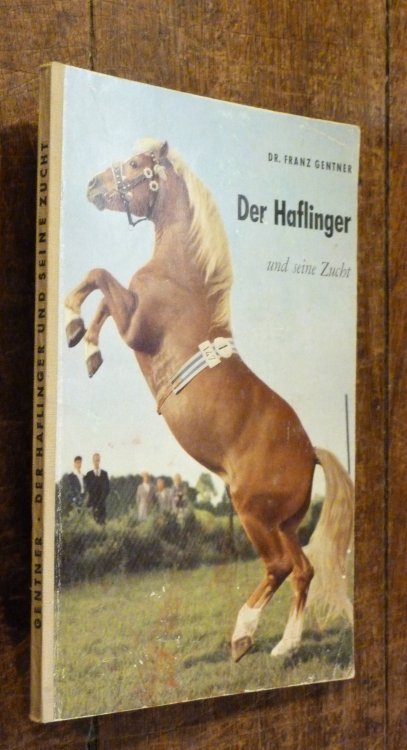 Der Haflinger Und Seine Zucht