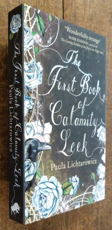 The First Book of Calamity Leek