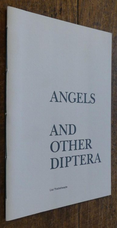 Angels and Other Diptera